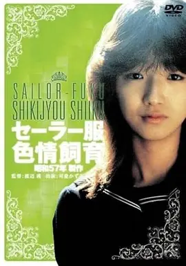 钢铁回响 高清影视资源免费观看